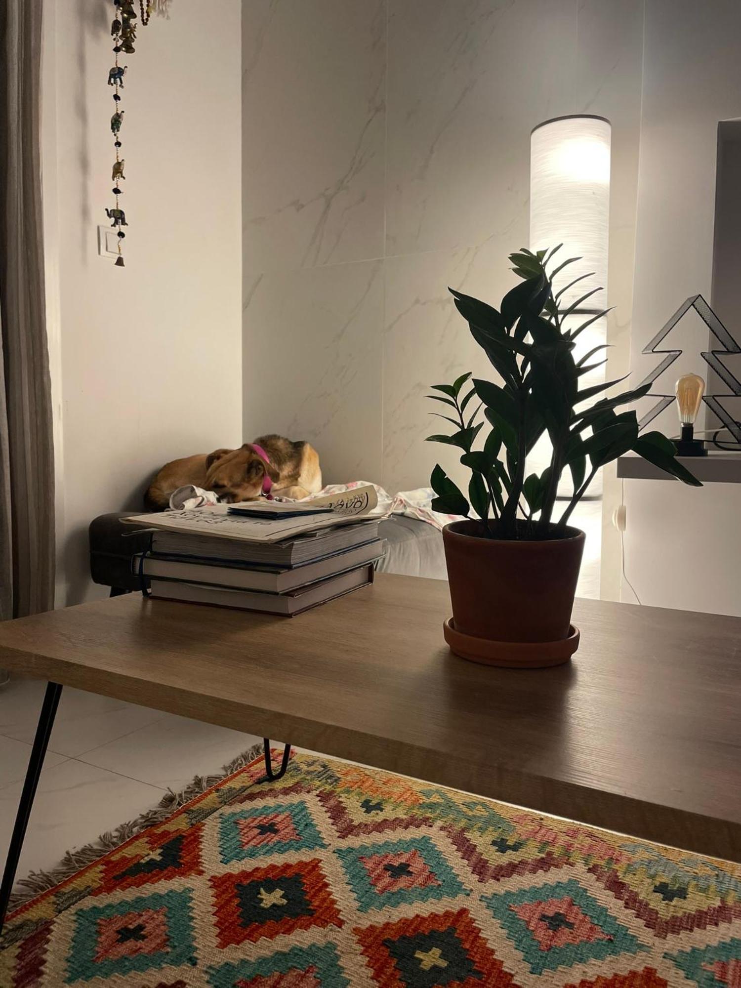 Appartement Grey *